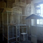 Cages Carmel 3